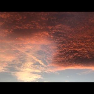 Meet your Posher, Katrina